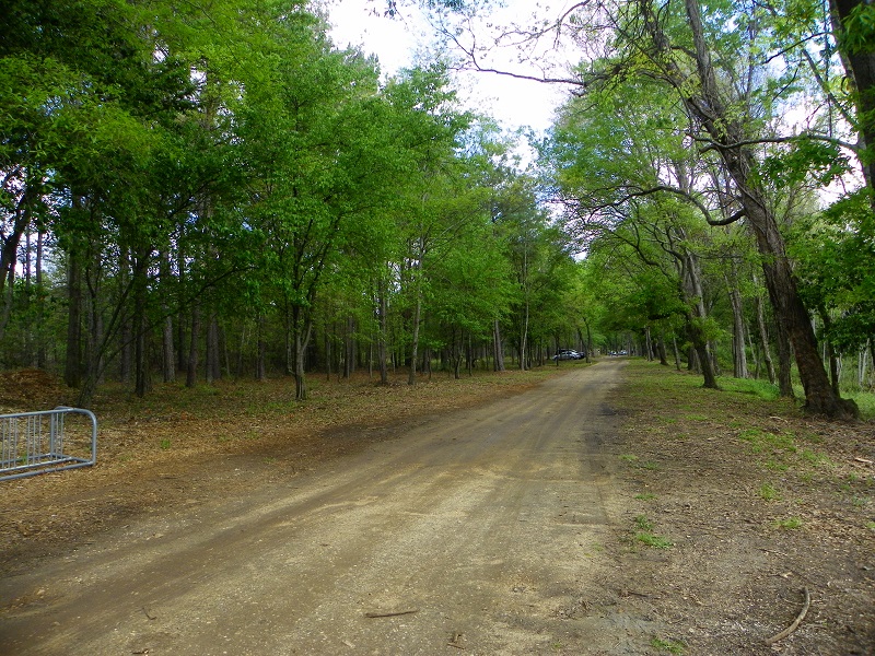 Lagoon Trail 10